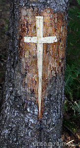 cross-carved-tree-12690430